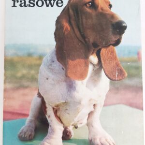 39ec3b6e4f2d9bb2907a7c7dfdd4