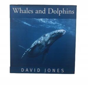 3a118fcc496c80d3c8039a169e83