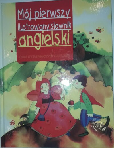 Mój pierwszy ilustrowany słownik angielski - obrazek 2