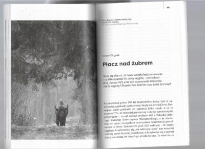 Taki mamy klimat - obrazek 5