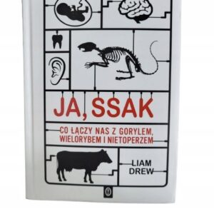 e84ffa02460aa3977326d9463655